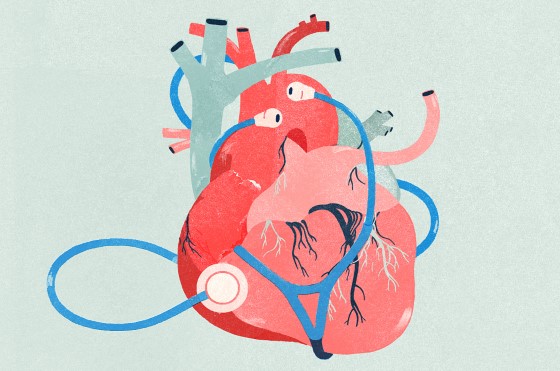 Vlastnosti CBD nachádzajú uplatnenie aj pri liečbe rôznych ochorení srdca